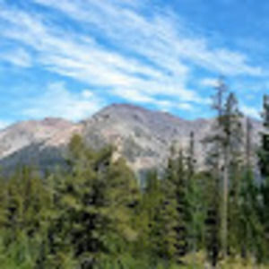 Meet your Posher, Tom